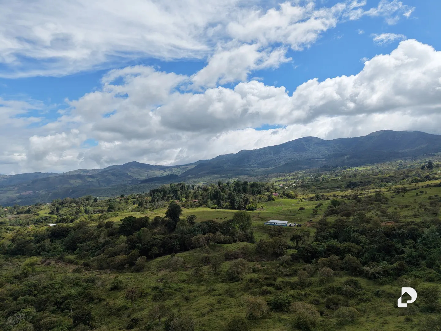 Farm in Los Cínaros a 3KM de las Cruces, Vía La Azulita – 6