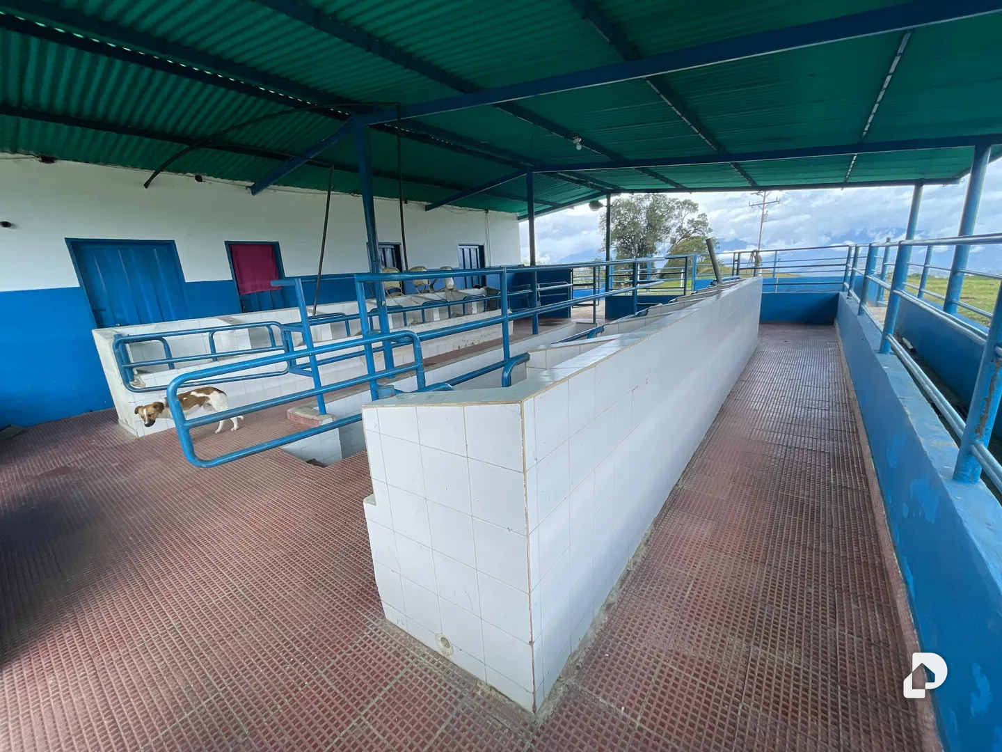 Farm in Los Cínaros a 3KM de las Cruces, Vía La Azulita – 11