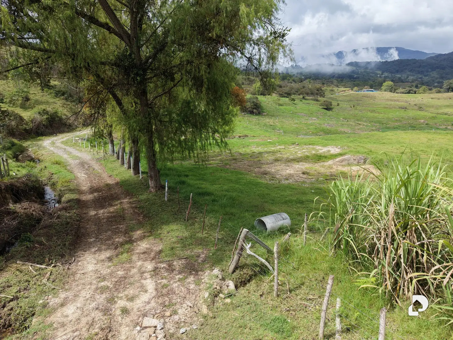Farm in Los Cínaros a 3KM de las Cruces, Vía La Azulita – 4