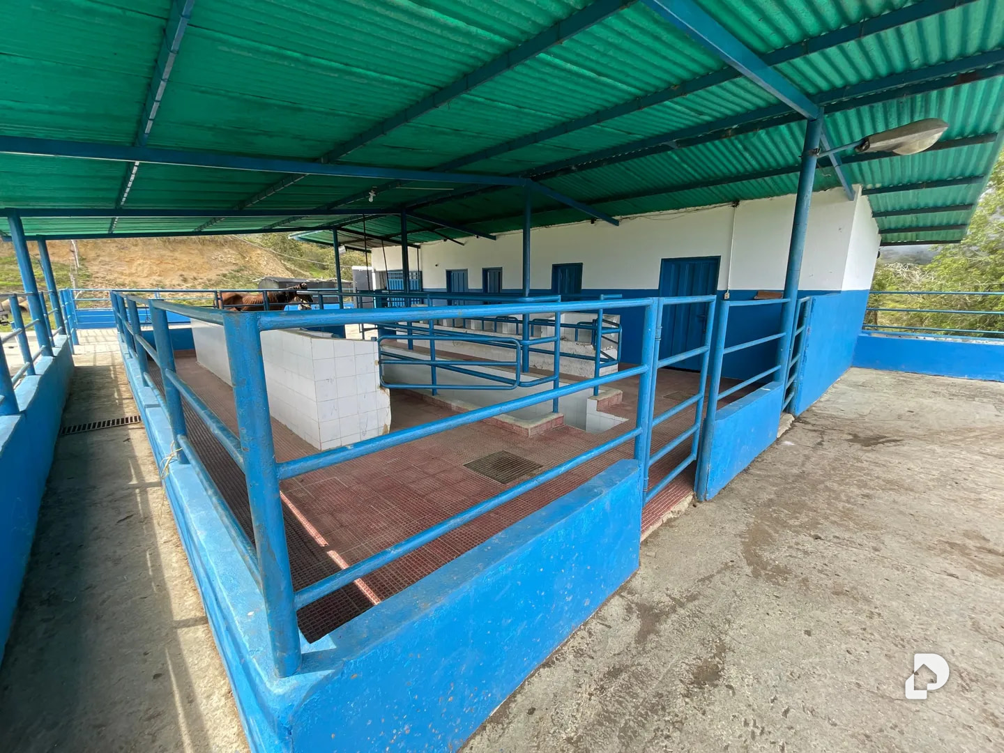 Farm in Los Cínaros a 3KM de las Cruces, Vía La Azulita – 12