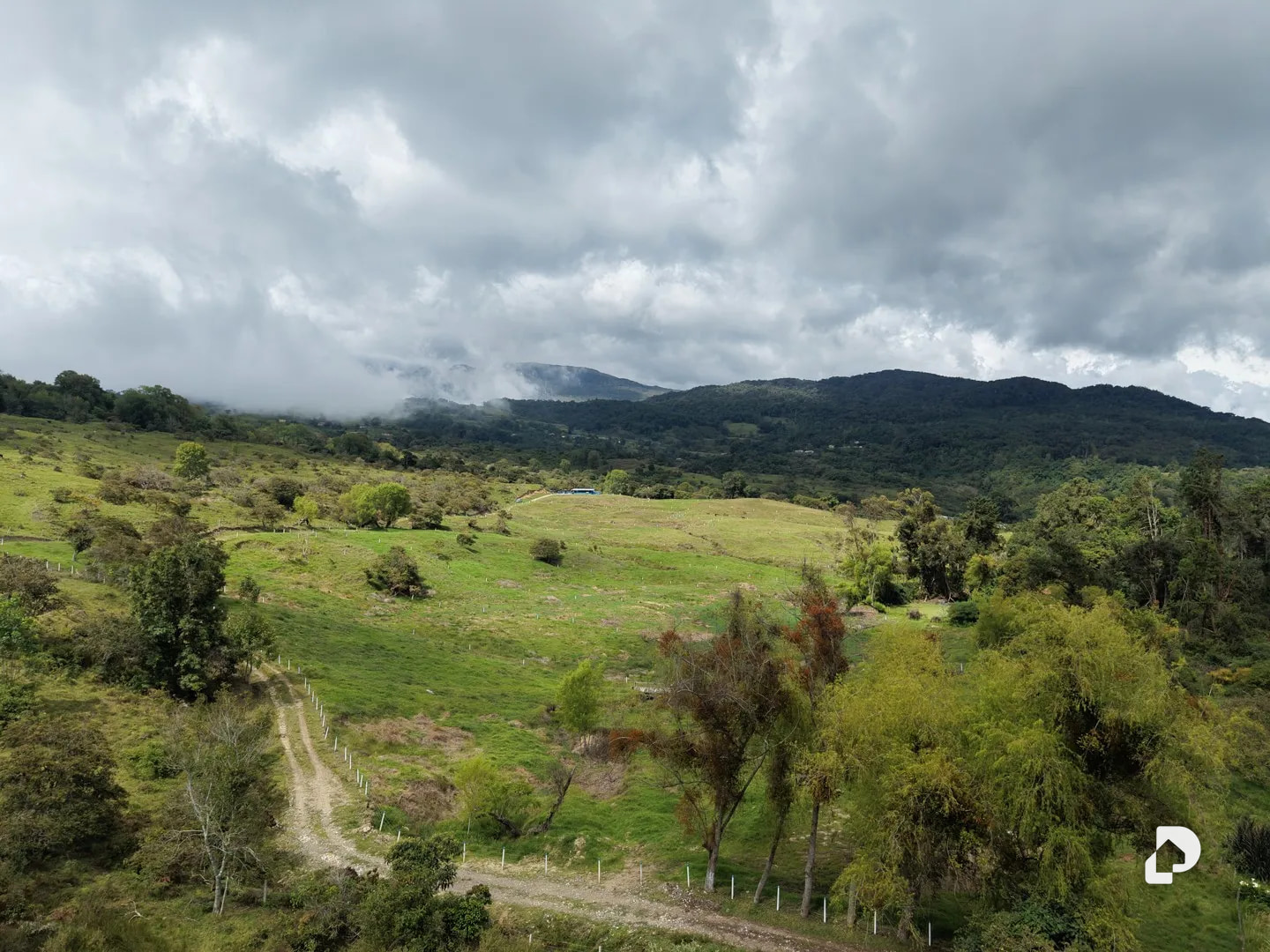 Farm in Los Cínaros a 3KM de las Cruces, Vía La Azulita – 5