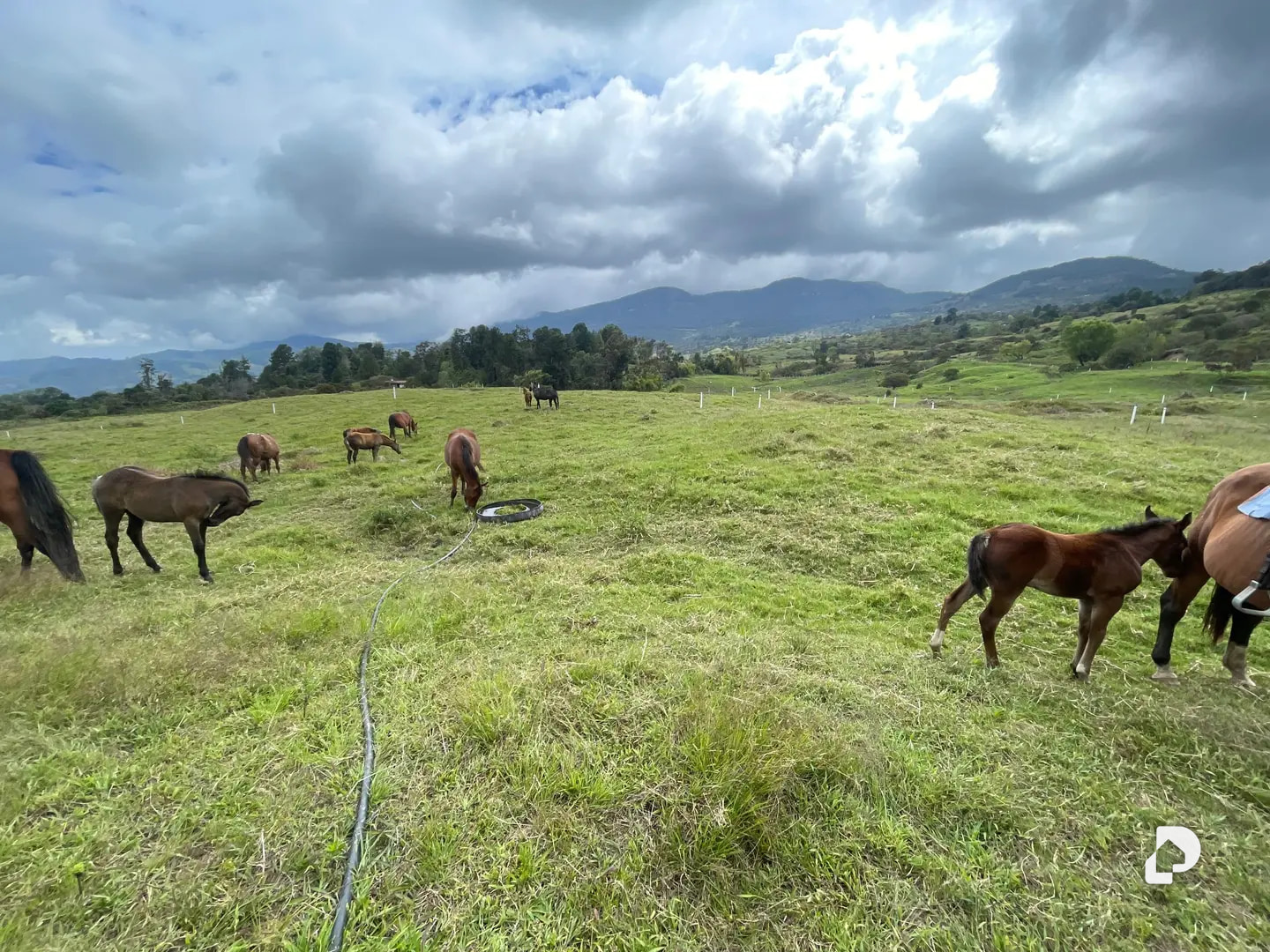 Farm in Los Cínaros a 3KM de las Cruces, Vía La Azulita – 8
