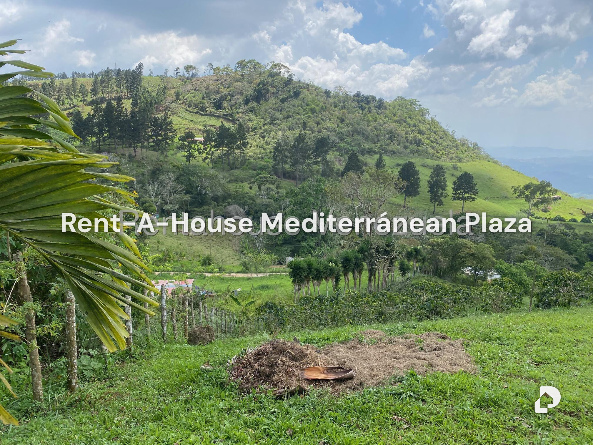 Finca en Zona Turistica San Vicente, Nirgua – 3