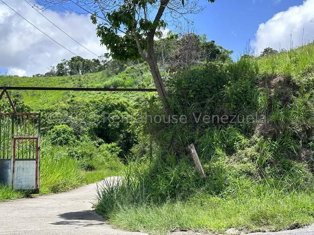 Terreno en El Limon, San Antonio de Los Altos - 1