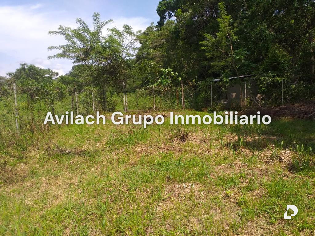 Terreno en Carlos Arvelo, Valencia – 6