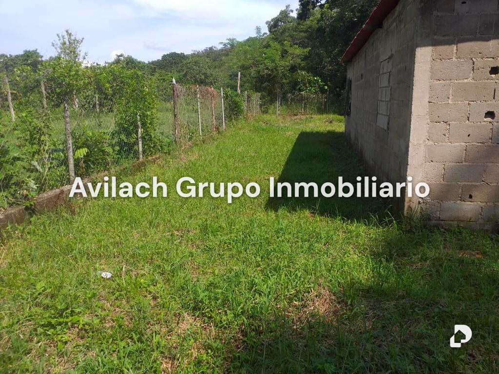 Terreno en Carlos Arvelo, Valencia – 4