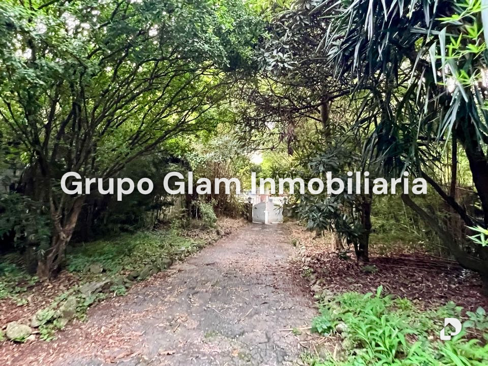 Terreno en Los Palos Grandes, Caracas – 2