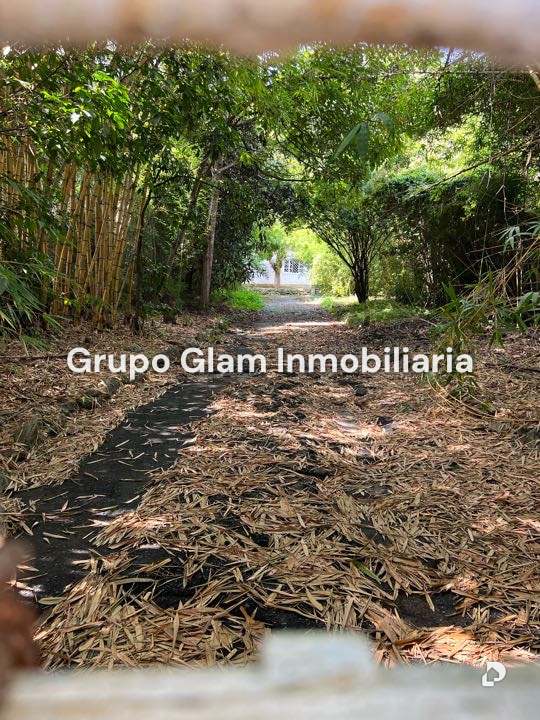 Terreno en Los Palos Grandes, Caracas – 6