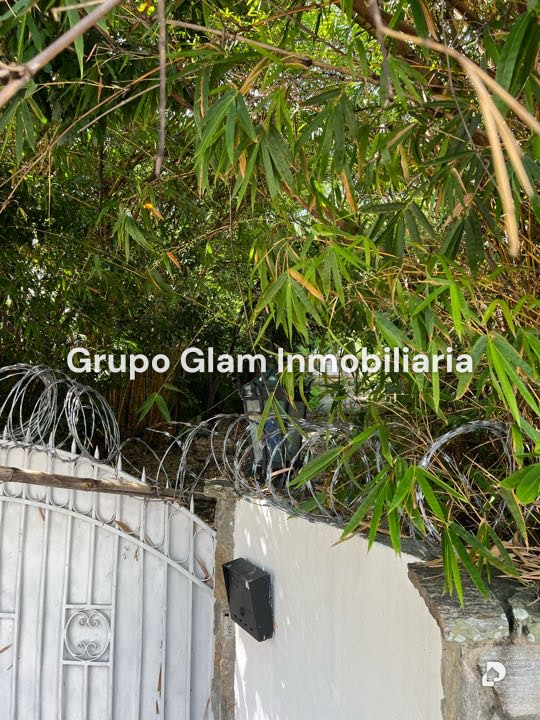 Terreno en Los Palos Grandes, Caracas – 7