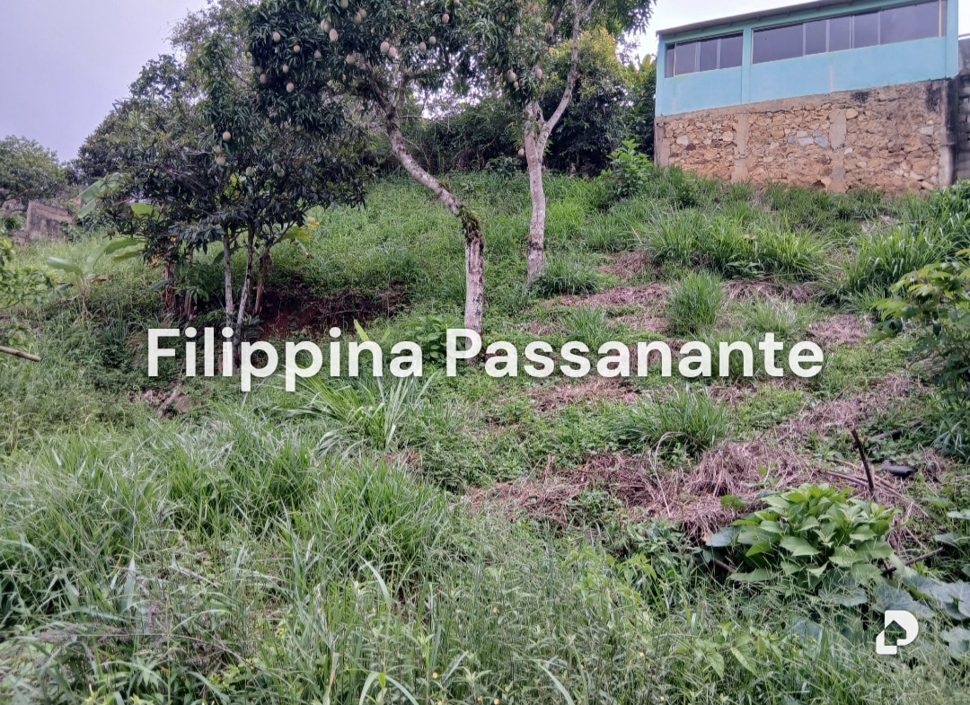 Terreno en El Copey, Caripe – 2