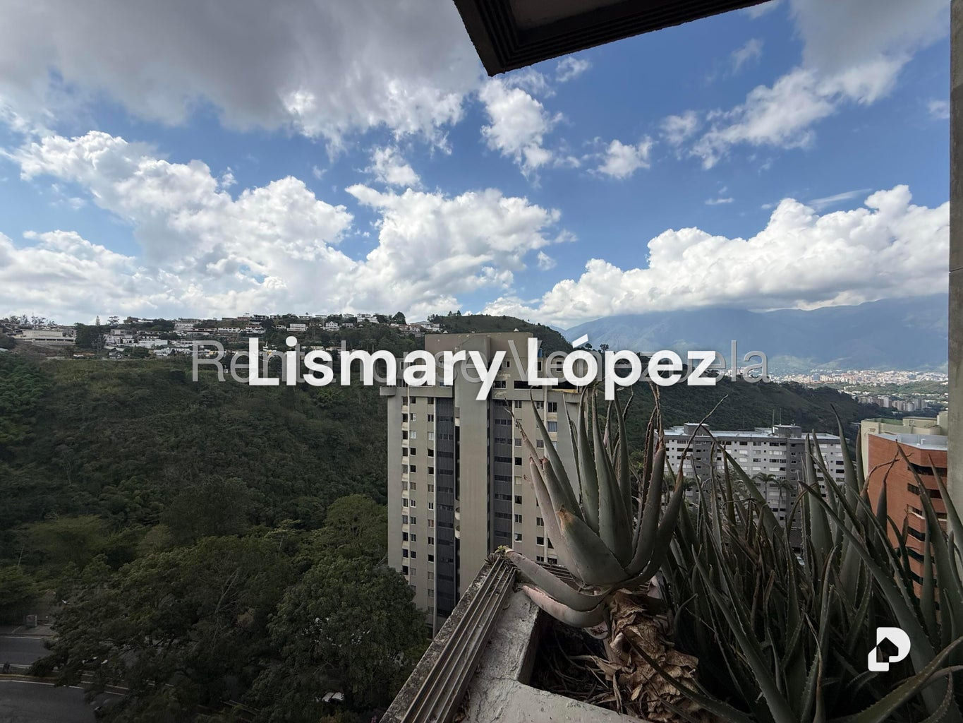 Apartamento en Los Naranjos (del Cafetal), Caracas – 23
