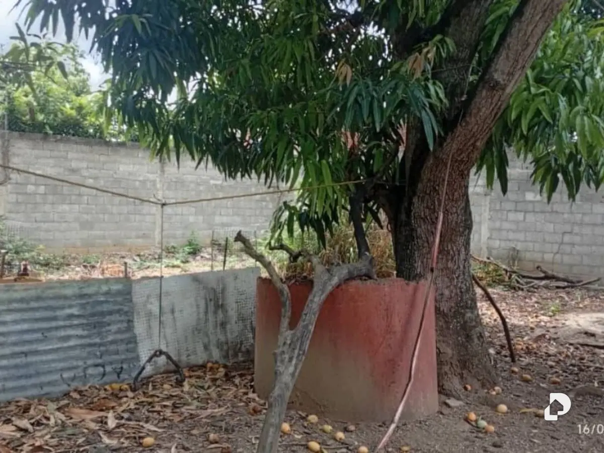 Warehouse in La Piedad Norte, Cabudare – 2