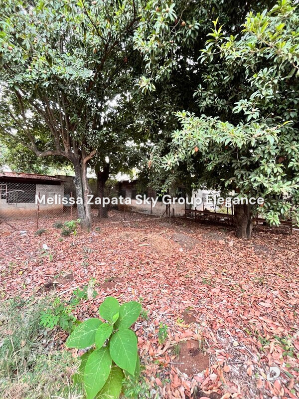 Terreno en Barquisimeto – 8
