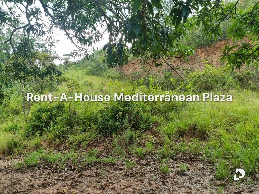 Terreno en Bejuma – 10