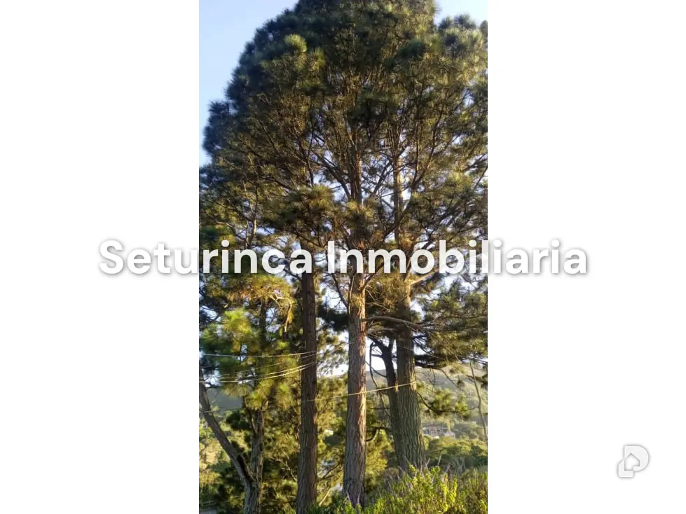 Terreno en El Junquito, Caracas – 7