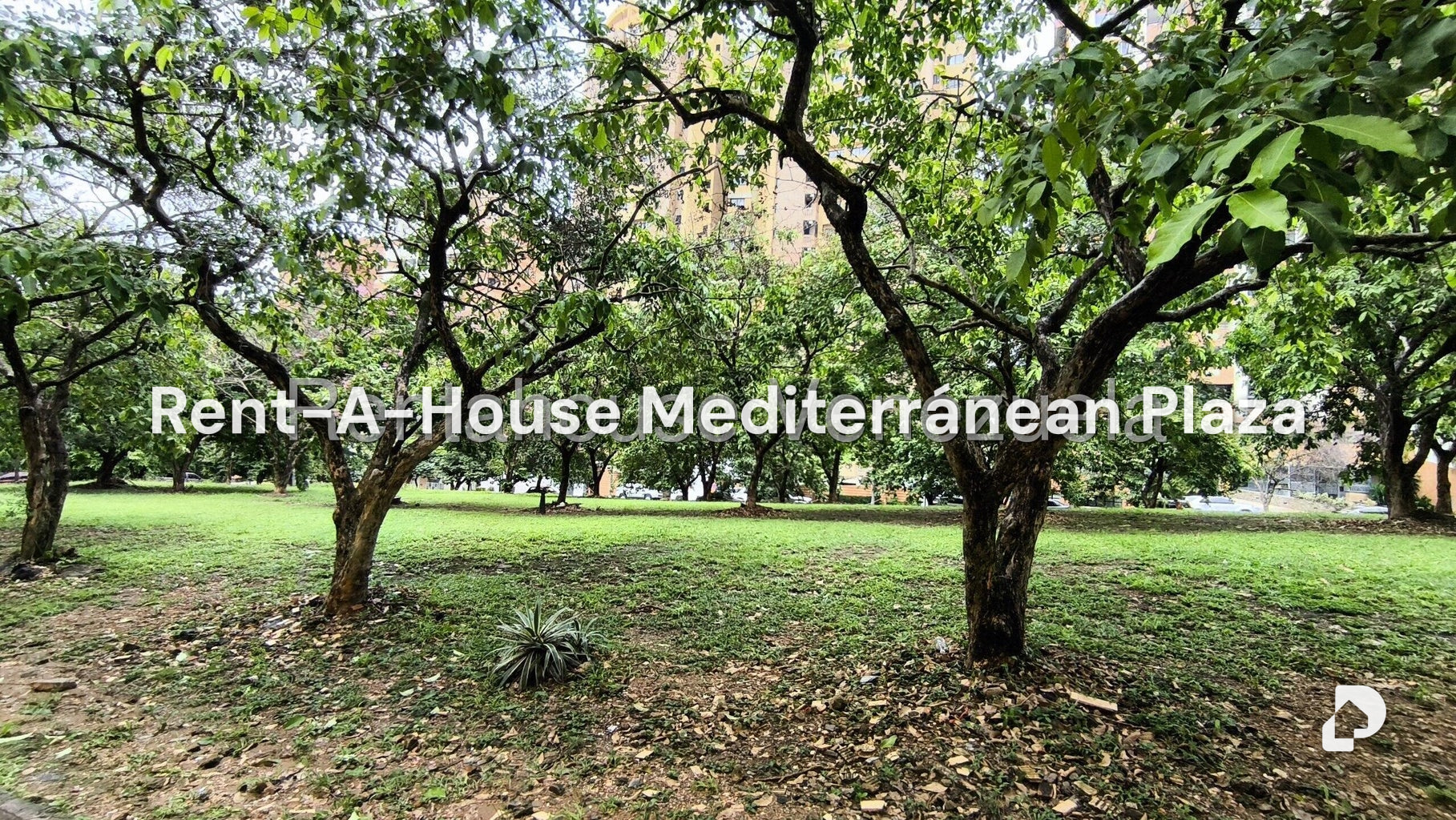 Apartamento en La Trigaleña, Valencia