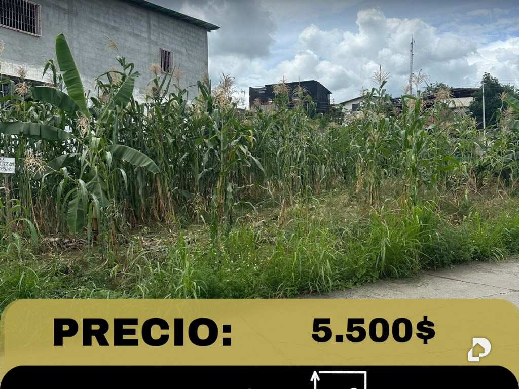 Terreno en Urb, la morita, Cúa – 1