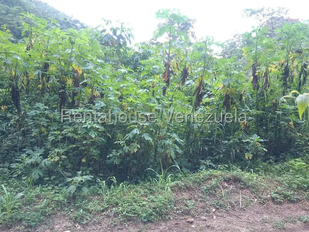 Land in El Hatillo, Caracas - 1