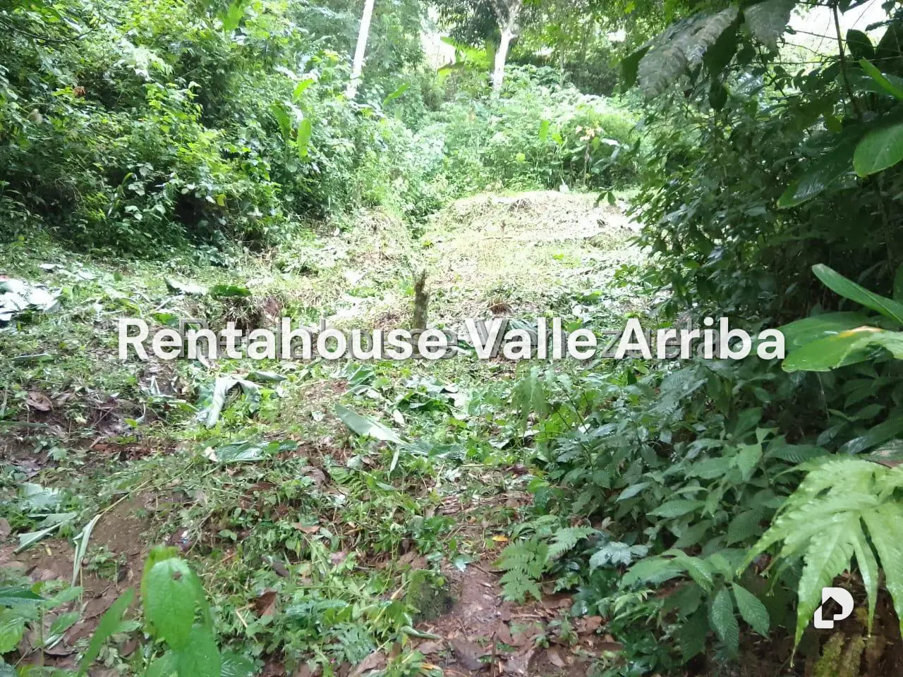 Terreno en El Hatillo, Caracas – 6