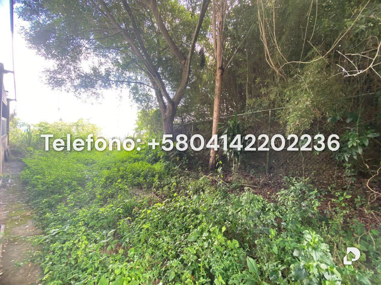 Land in El Hatillo, Caracas – 3