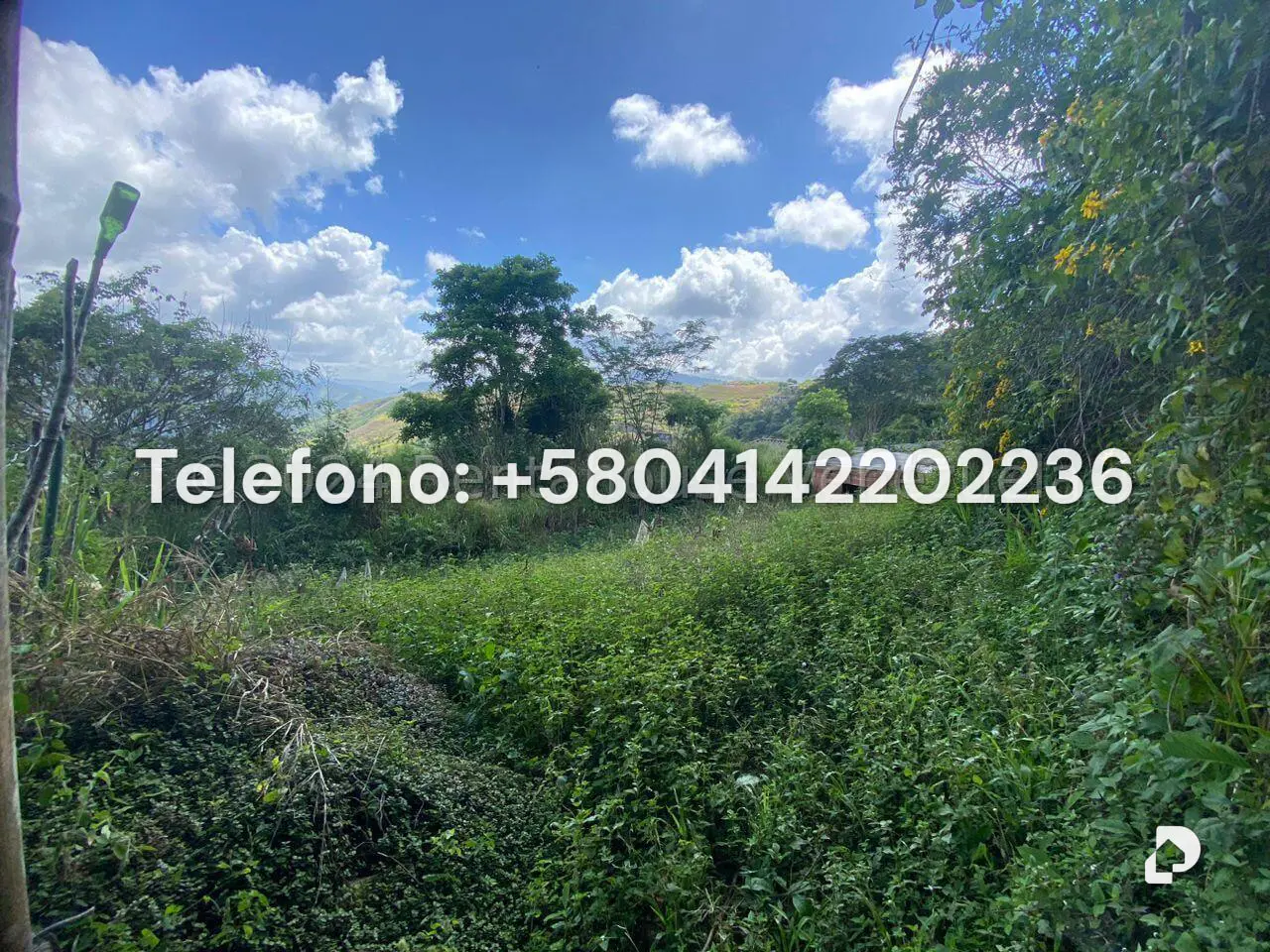 Land in El Hatillo, Caracas – 2