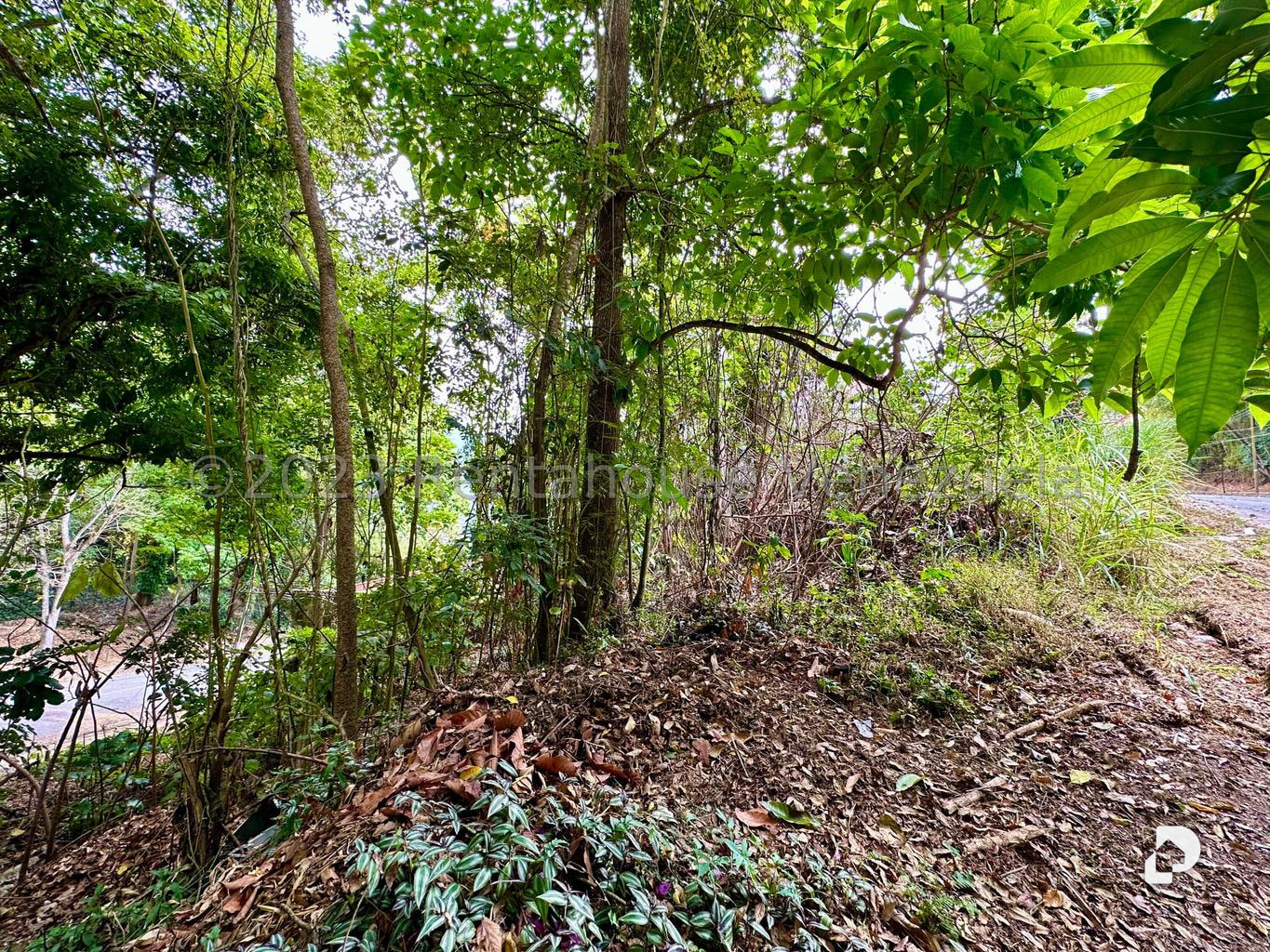Terreno en Miranda, Caracas – 3