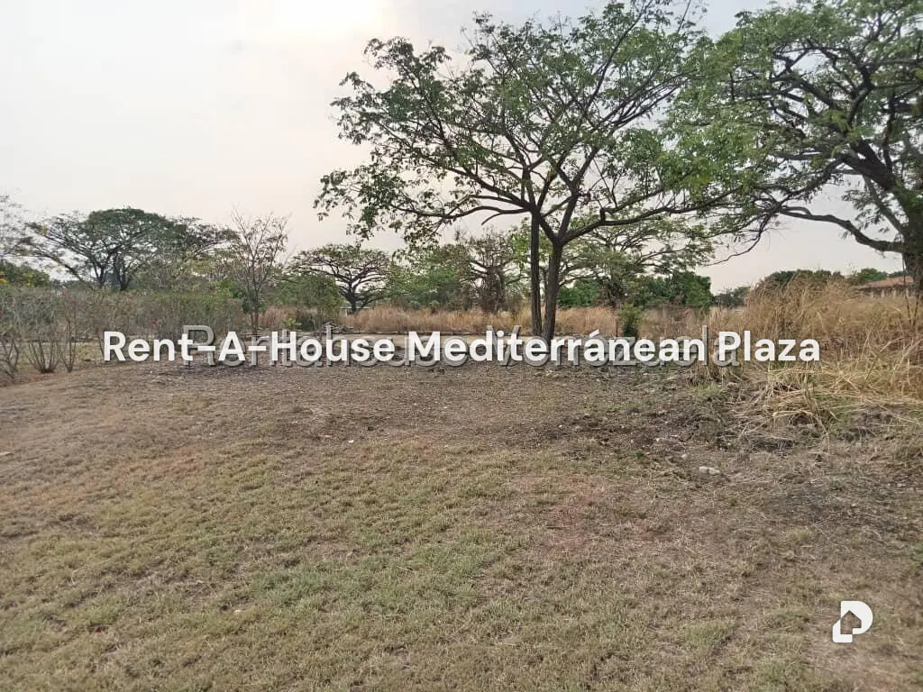 Terreno en Flor Amarillo, Valencia – 12