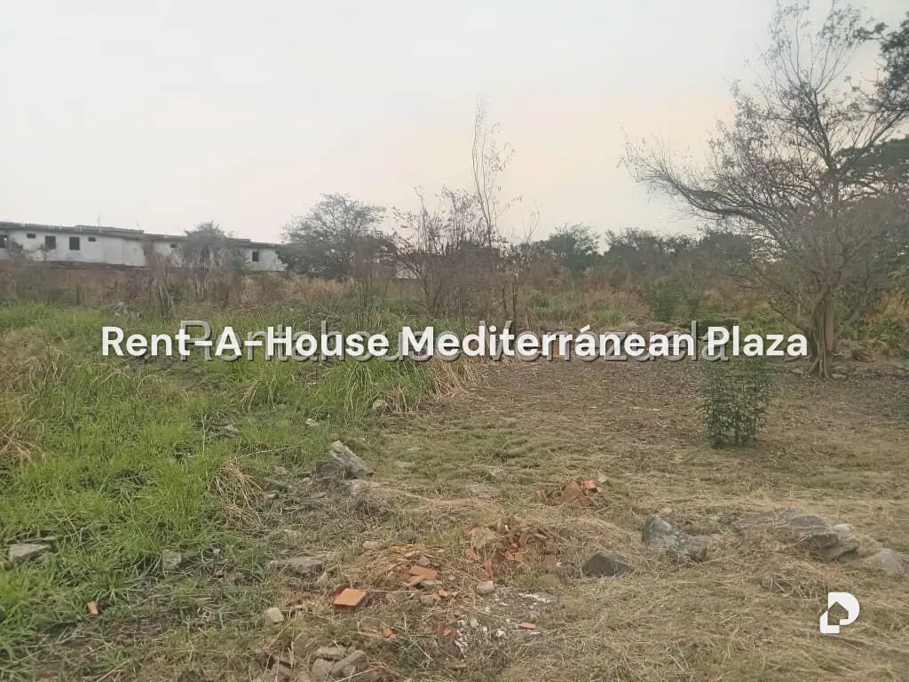 Terreno en Flor Amarillo, Valencia – 2