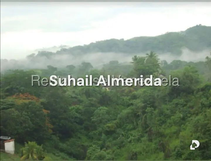 Terreno en Hacienda el Naipe, Libertador – 7