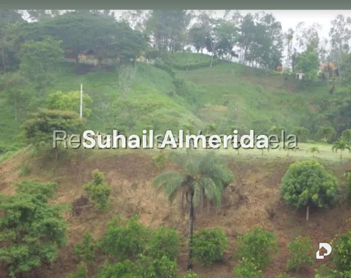 Terreno en Hacienda el Naipe, Libertador – 2