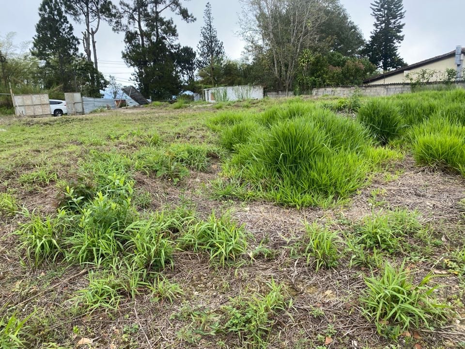 Terreno en Oripoto, Caracas - 1