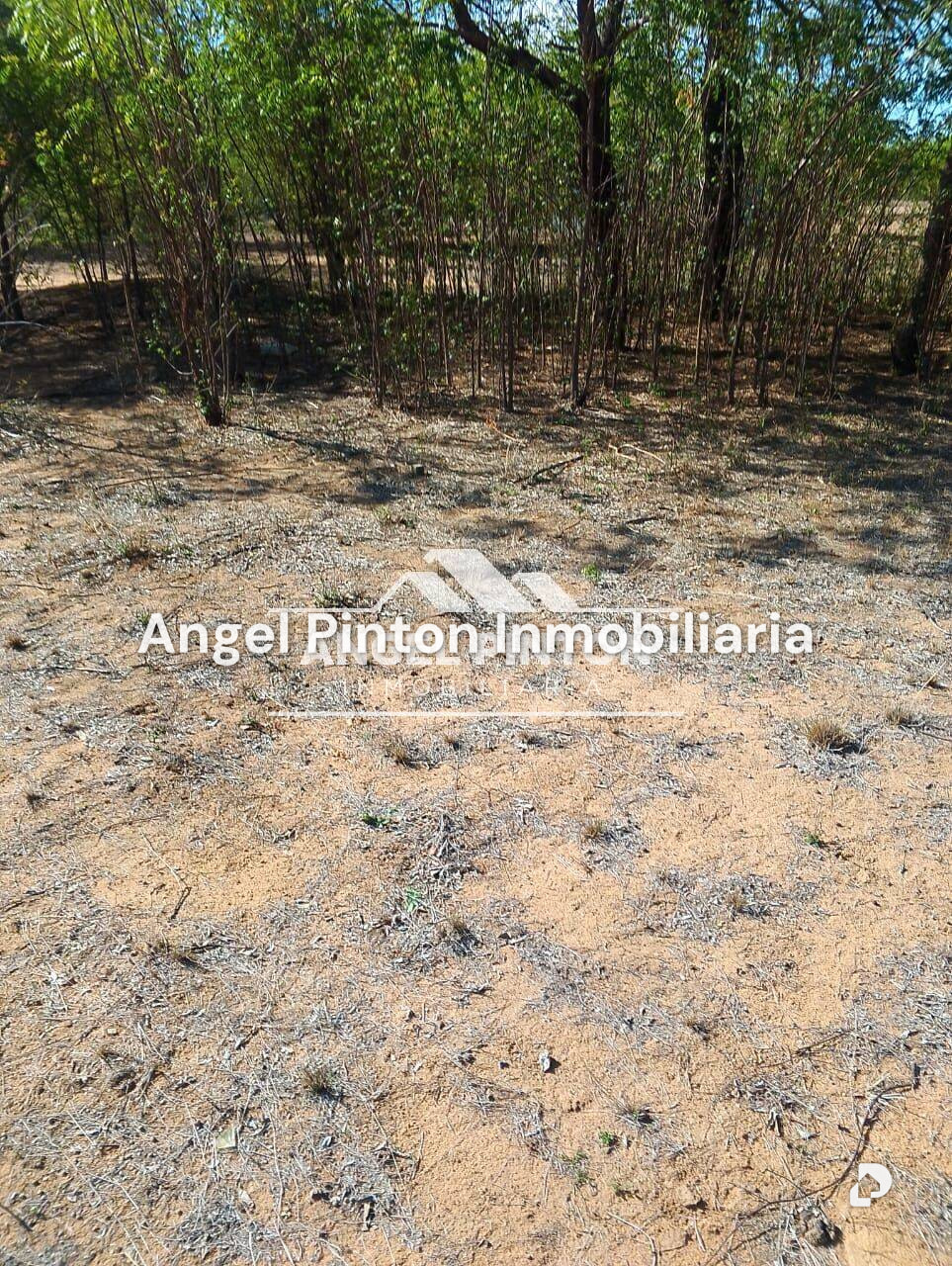 Terreno en Santa Rita – 5