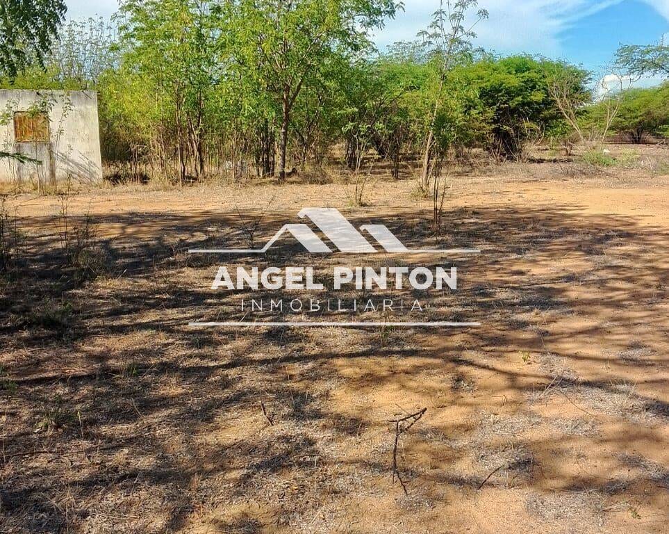 Terreno en Santa Rita - 1