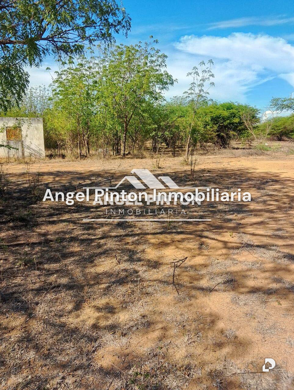 Terreno en Santa Rita – 1