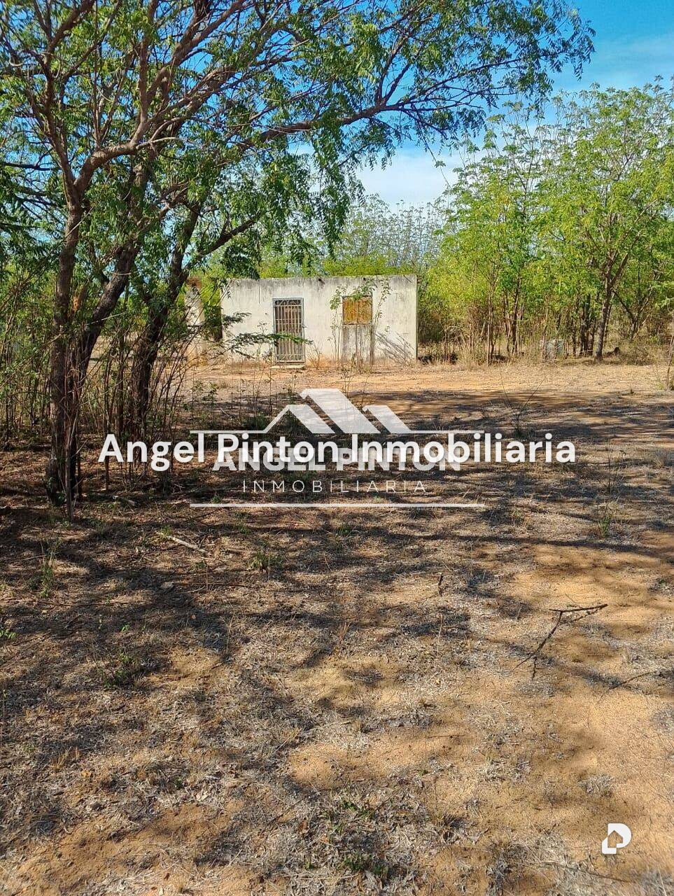 Terreno en Santa Rita – 3
