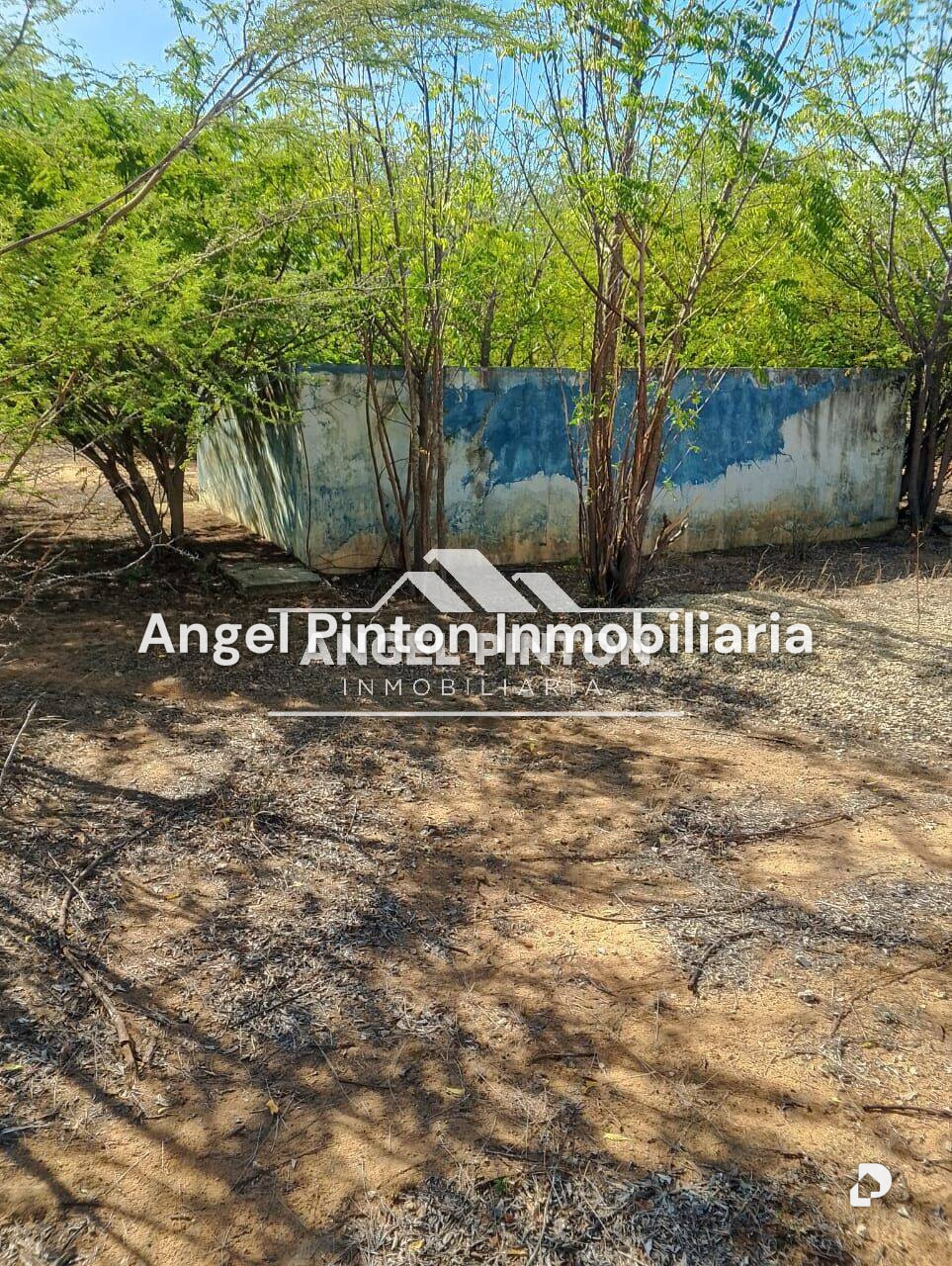 Terreno en Santa Rita – 4