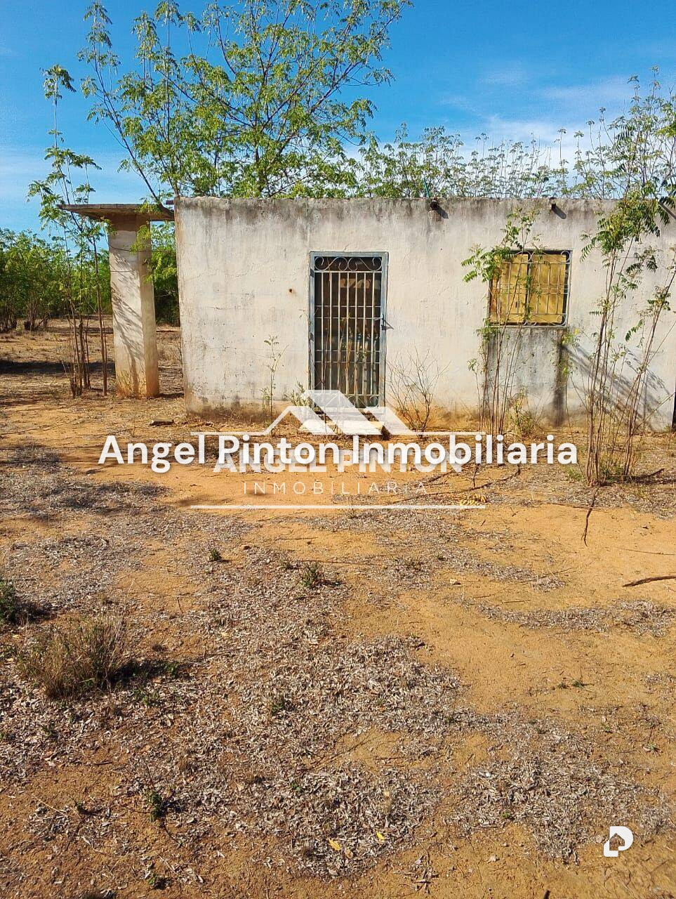 Terreno en Santa Rita – 2