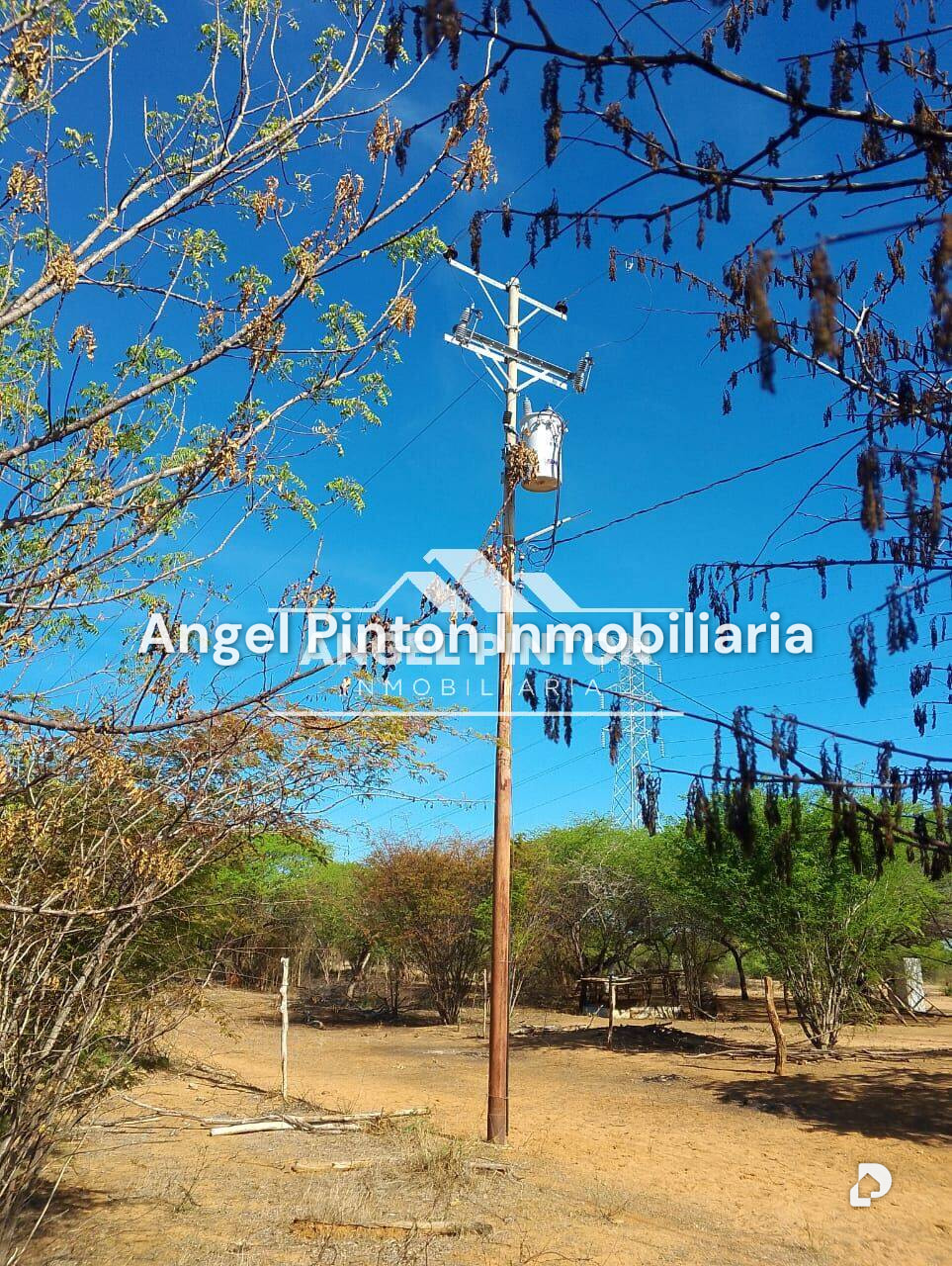 Terreno en Santa Rita – 6