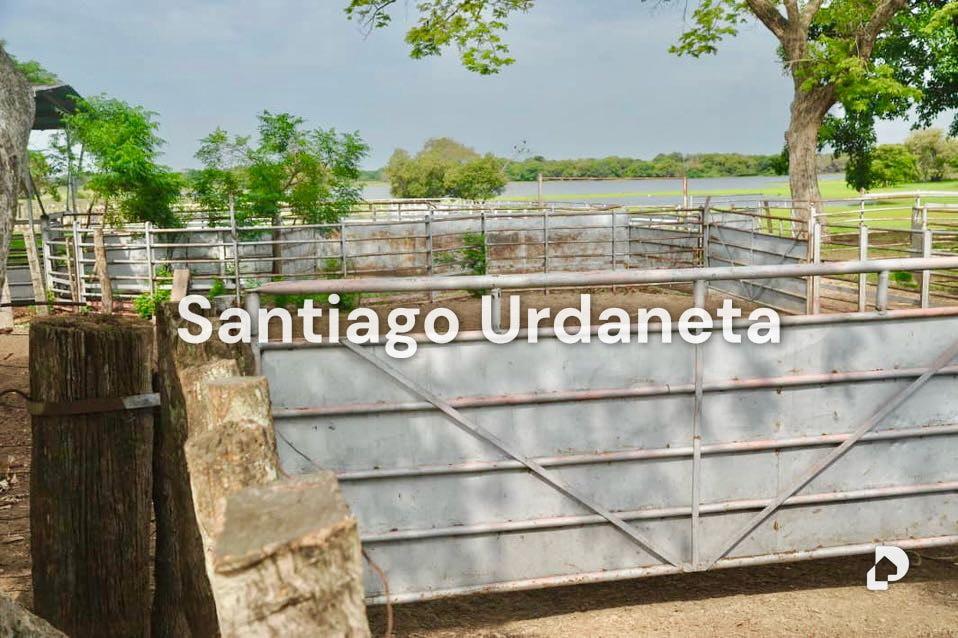 Finca en Achaguas – 11