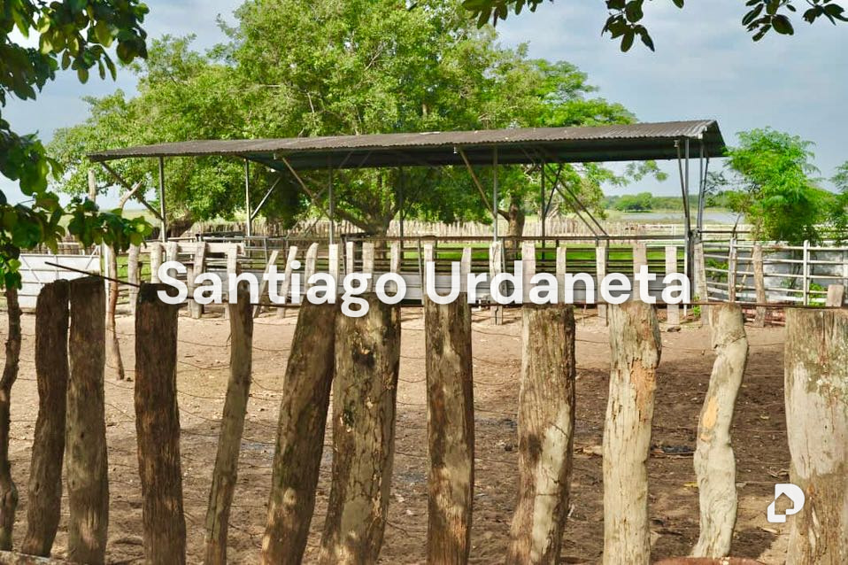 Finca en Achaguas – 13