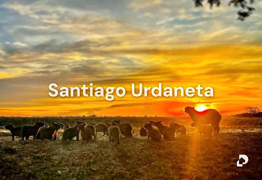 Finca en Achaguas – 4