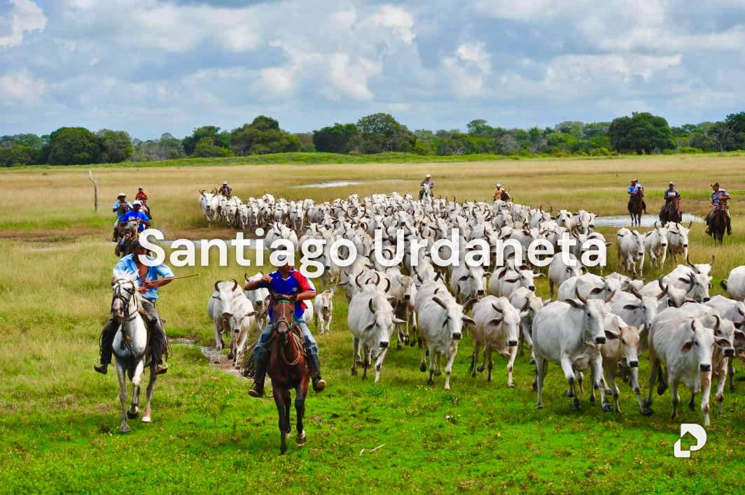 Finca en Achaguas – 5
