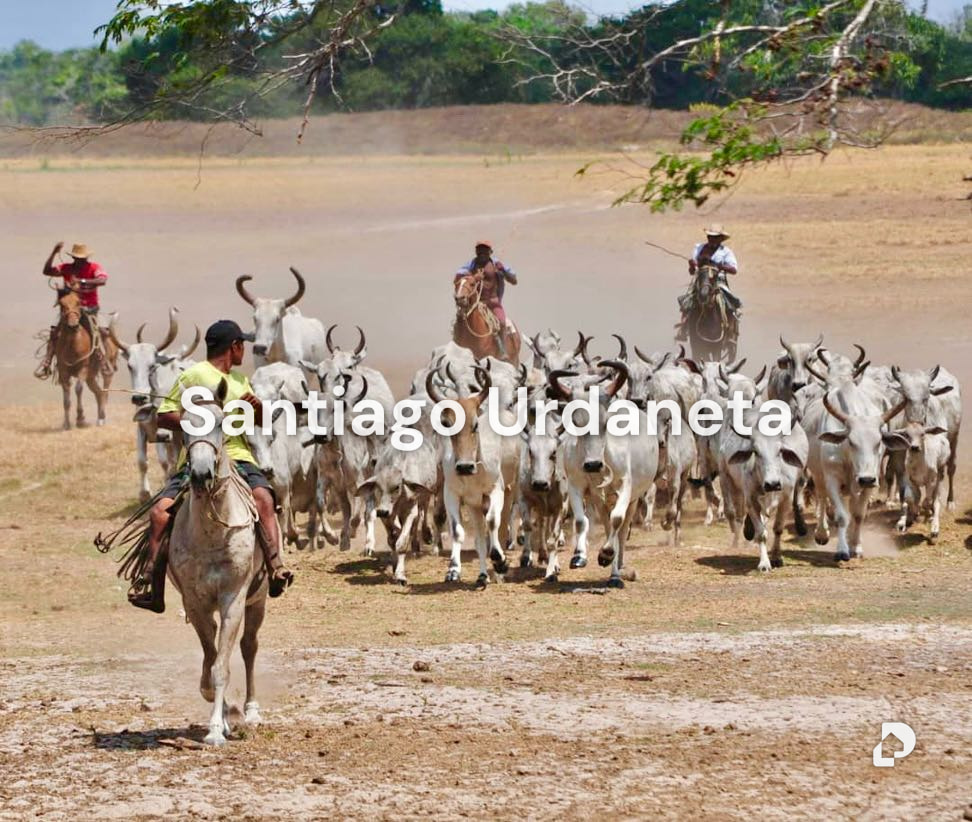 Finca en Achaguas – 7