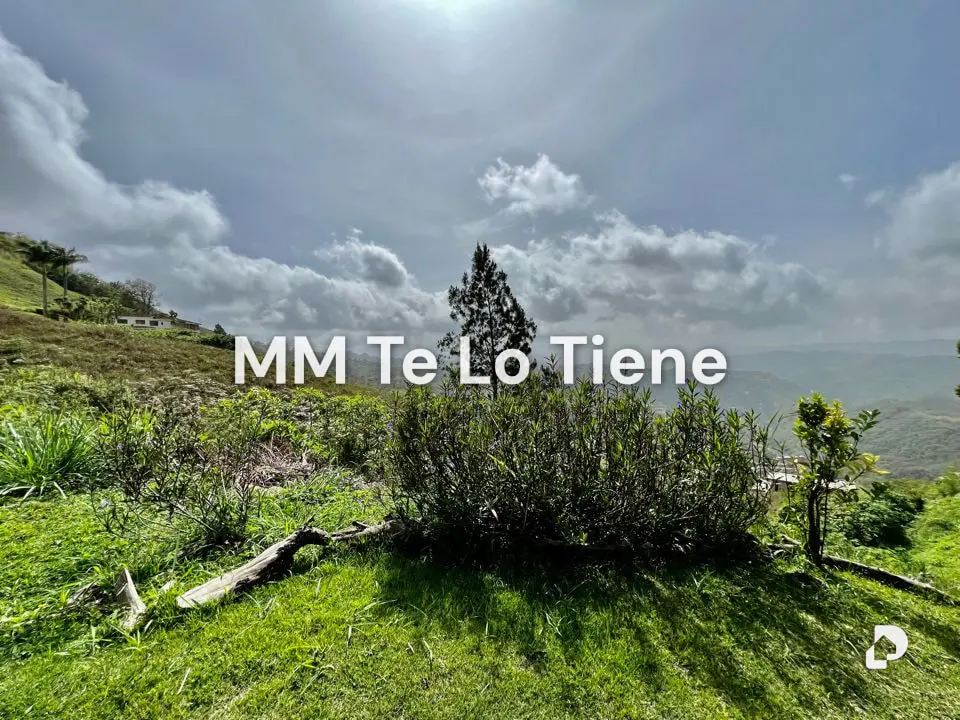 Terreno en Oripoto, Caracas – 3
