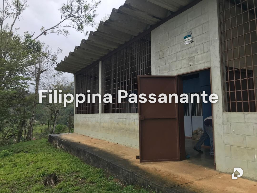 Galpón en Teresen, Caripe – 2