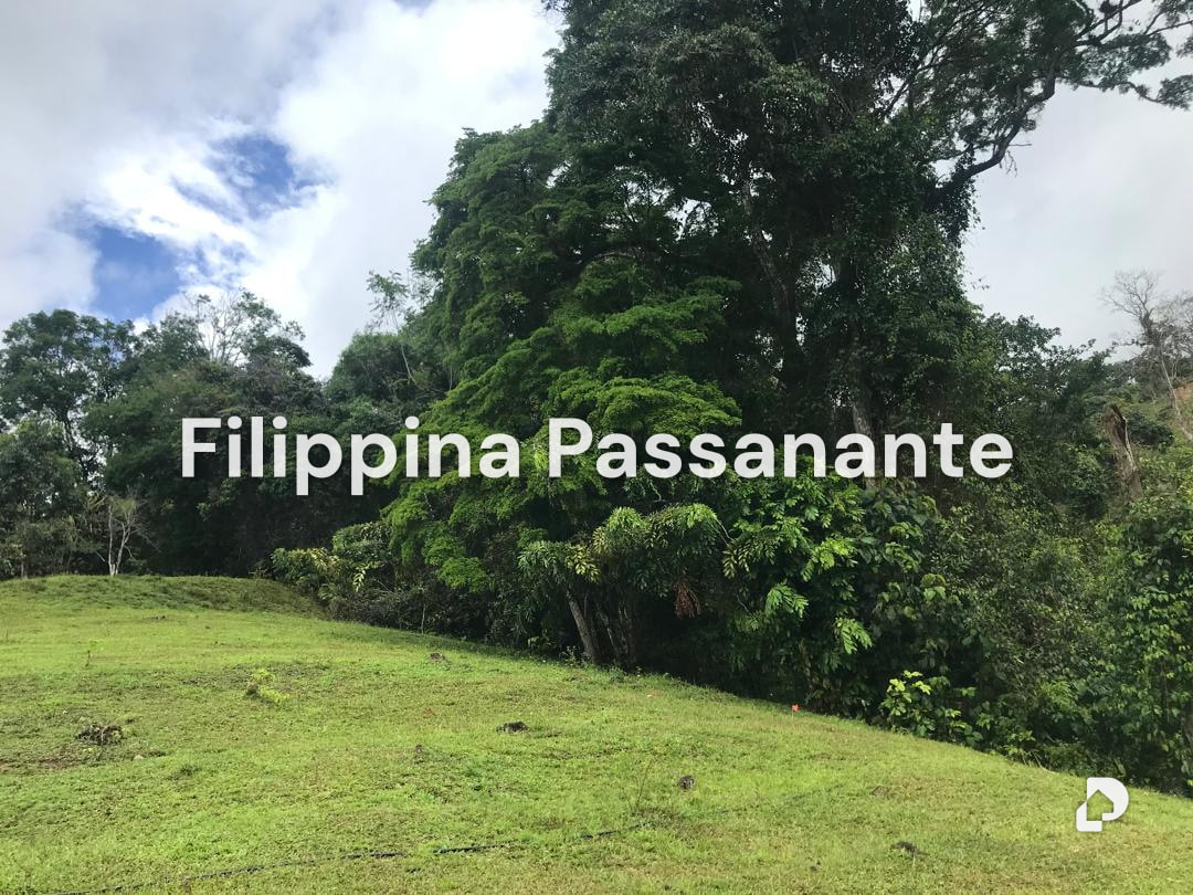 Galpón en Teresen, Caripe – 9