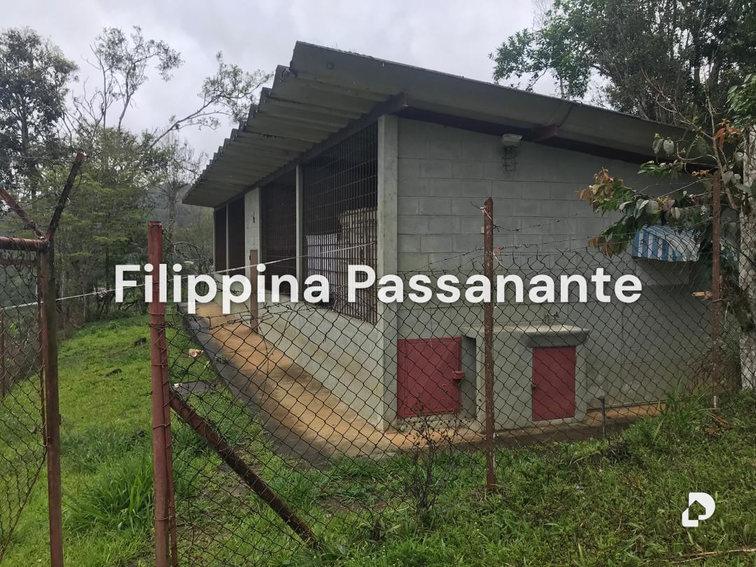 Galpón en Teresen, Caripe – 1