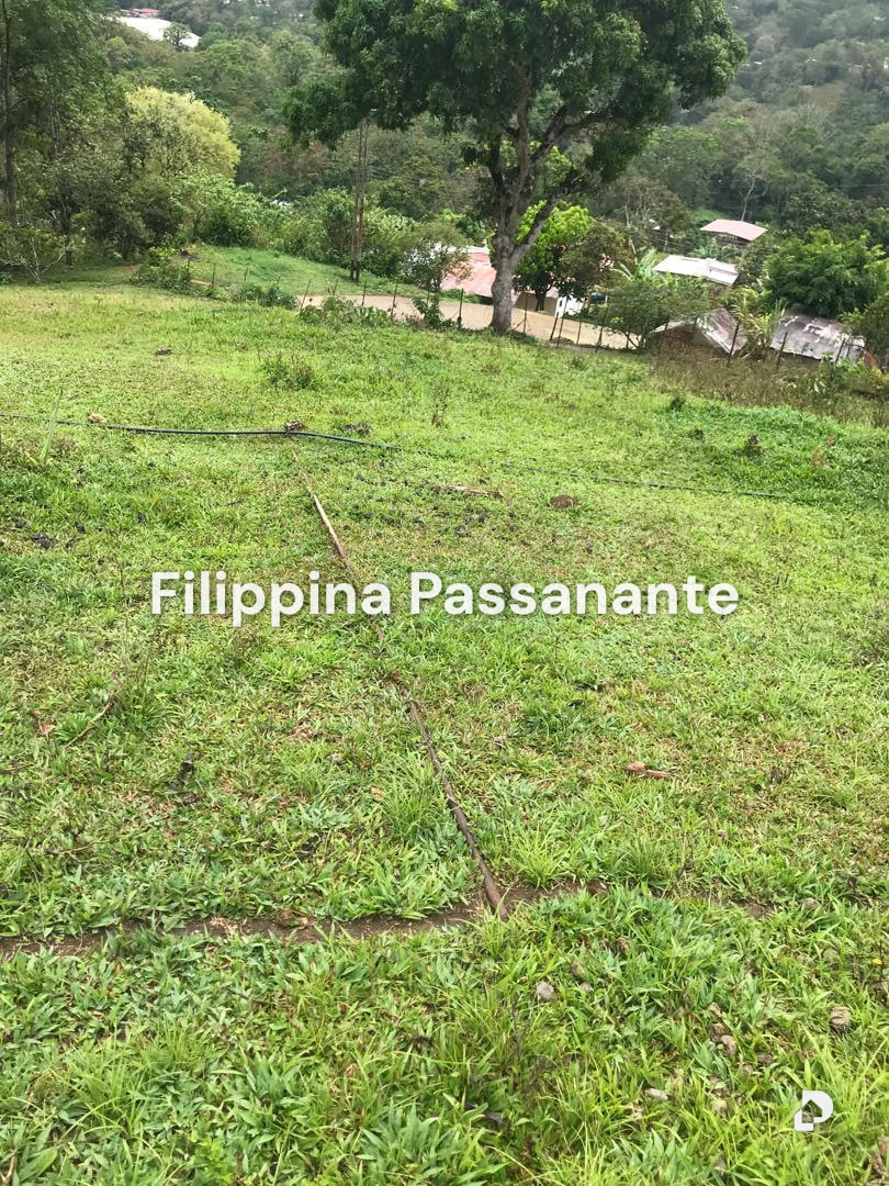 Galpón en Teresen, Caripe – 10