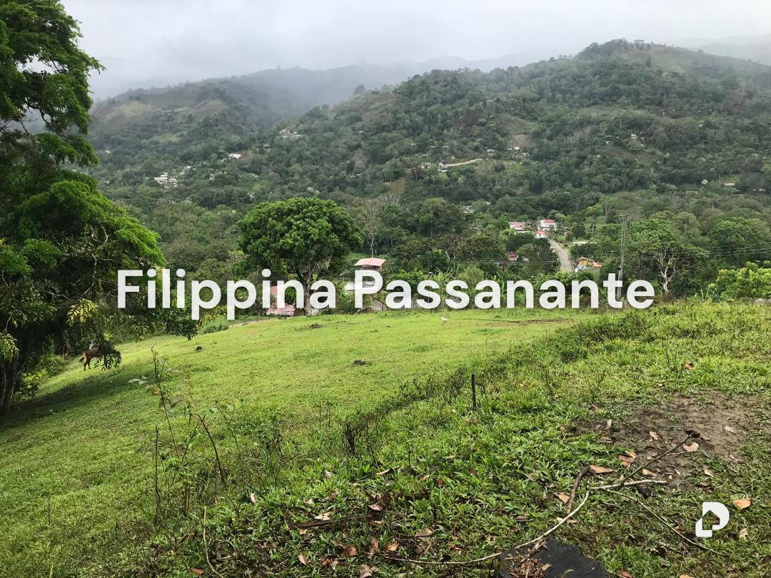 Galpón en Teresen, Caripe – 12