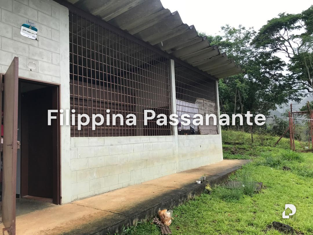 Galpón en Teresen, Caripe – 11